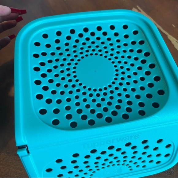 Tupperware Garlic N All Keeper 2.3L - Picture 8 of 10